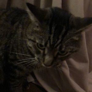 Meet your Posher, Jeff